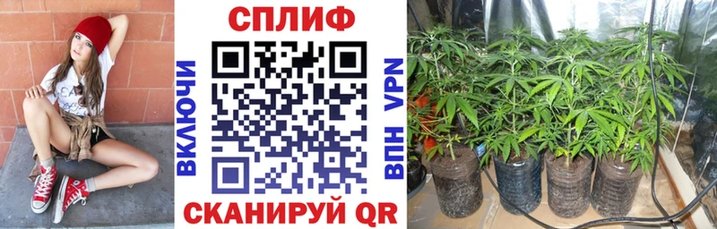 Хочу наркоту Арамиль COCAIN  Псилоцибиновые грибы  Гашиш  Канабис  Меф  АМФЕТАМИН 