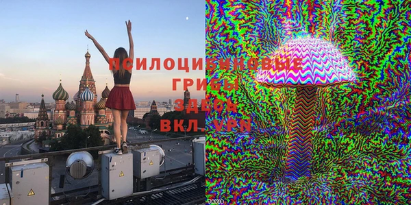 ПСИЛОЦИБИНОВЫЕ ГРИБЫ Алзамай