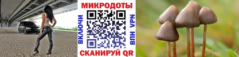 кракен как зайти  Арамиль  Галлюциногенные грибы MAGIC MUSHROOMS 
